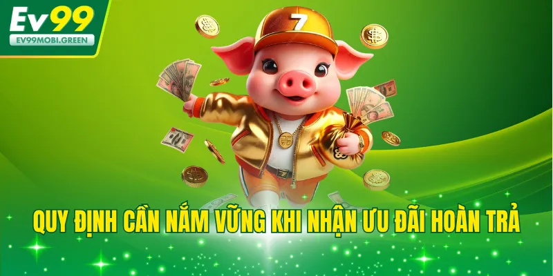 Quy định cần nắm vững khi nhận ưu đãi hoàn trả